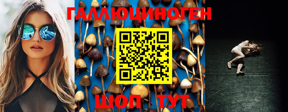Лесозаводск  Галлюциногенные грибы MAGIC MUSHROOMS  Галлюциногенные грибы Psilocybine cubensis  Вход с VPN 